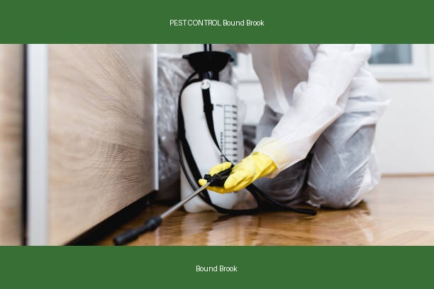 PEST CONTROL Bound Brook